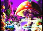 magic  world